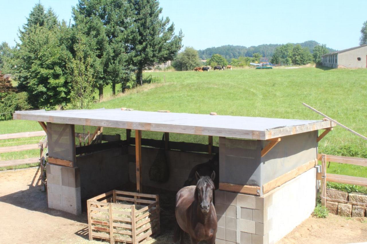 Ferienwohnung Feldblick Struppen Exteriör bild